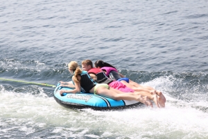 Alternative view of Connelly Ringo. Cruzer