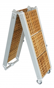 Alternative view of Pasarella