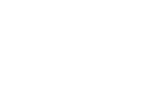 Alternative view of Bravo SP 43 Boston valf