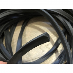 Alternative view of Planus hatch için kauçuk profil