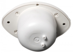 Alternative view of Osculati gömme korna