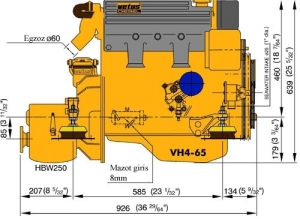 Alternative view of VH4-65