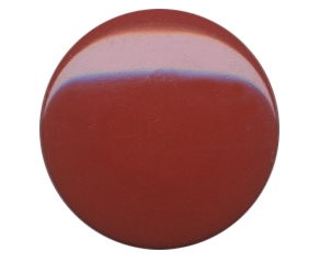 Fasnap çıtçıt üst parçası