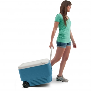 Alternative view of Igloo Wheelie 38 Buzluk