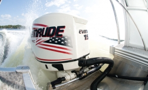 Alternative view of Techflex F6