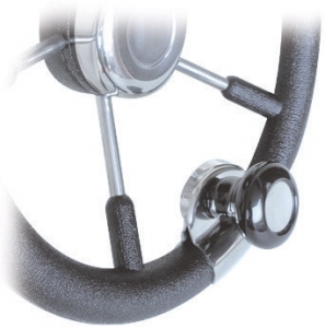 Alternative view of Dümen topuzu