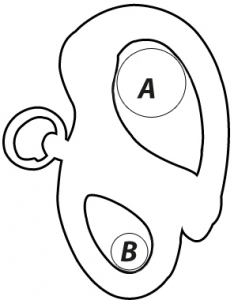 Alternative view of 862470