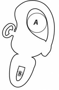 Alternative view of 862475