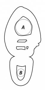 Alternative view of 862673