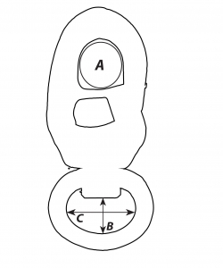 Alternative view of Wichard Speedlink shackle, kayışla bağlantı yapılabilen gözlü