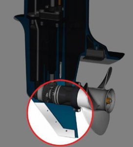 Alternative view of Kuyruk Koruyucu