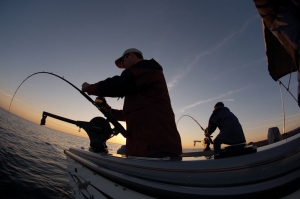 Alternative view of Cannon UNI-TROLL 5